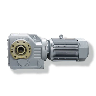 Helical Gear Worm Gear Reducer Motor