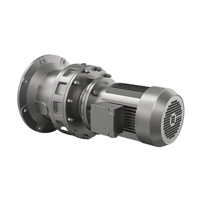 Cycloidal gear motor
